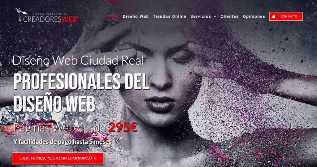 creadores web agencia seo en ciudad real