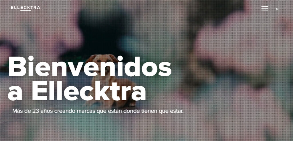 ellecktra agencia de redes sociales en argentina