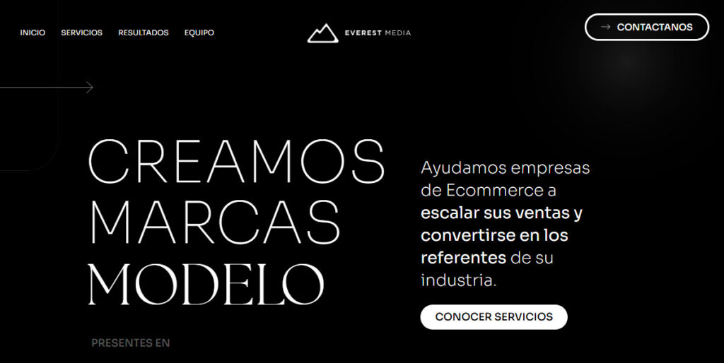 everest media agencia de ecommerce en argentina