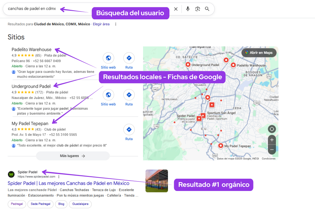 seo canchas de padel
